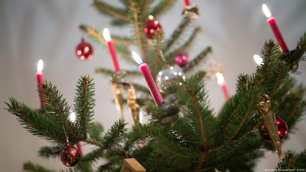 Η ιστορία του Χριστουγεννιάτικου δέντρου